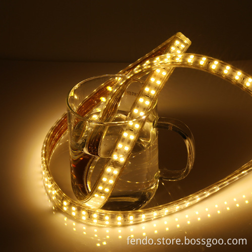 220V SMD 5050 RGB LED Strip Light, 96 Leds, PVC Cover, Waterproof IP65, Flexible
